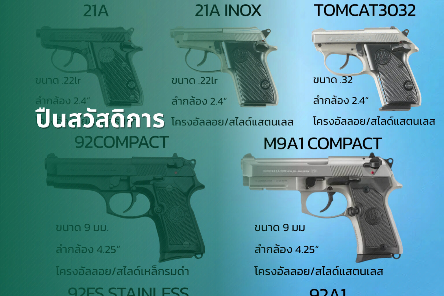 ปืนสวัสดิการ - government benefits